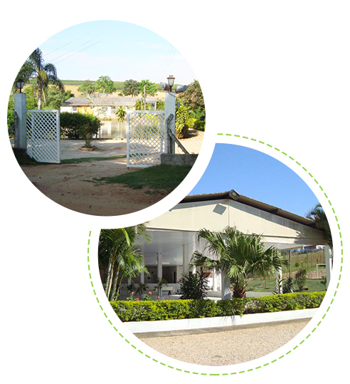 img-estrutura